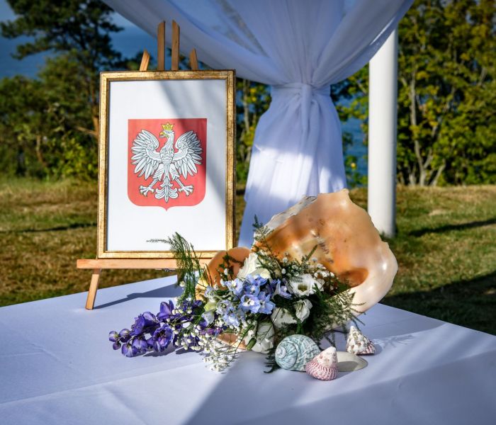 Our offer